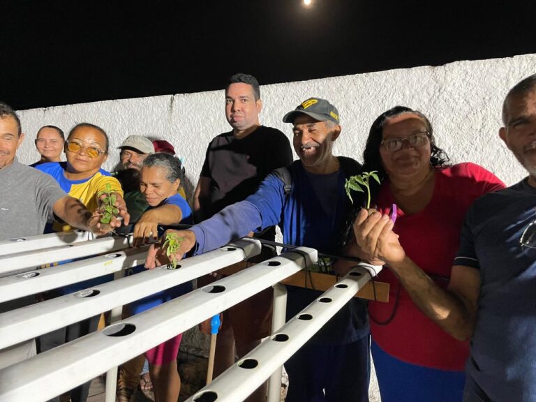 08/10 Hidroponia – Fotos